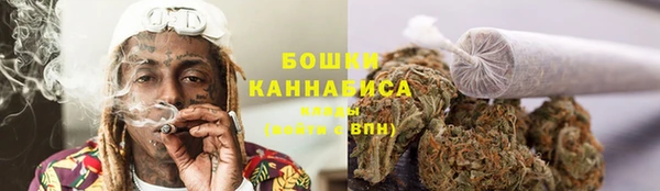 прущие крисы Елизово