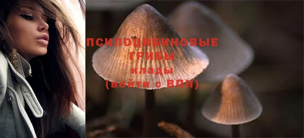 прущие крисы Елизово