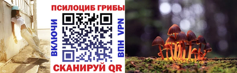 хочу наркоту  Петухово  Галлюциногенные грибы ЛСД 